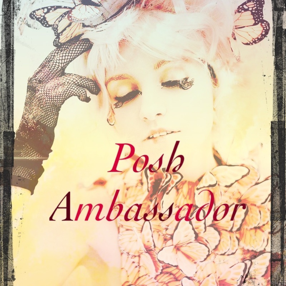 5 STAR Posh Ambassador